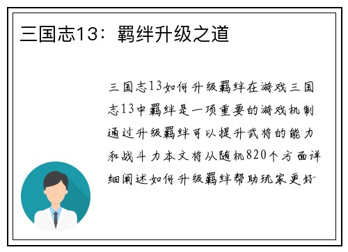 三国志13：羁绊升级之道